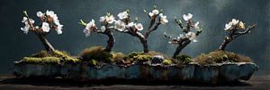 Blühende Mandel Bonsai auf Steinschale Panorama