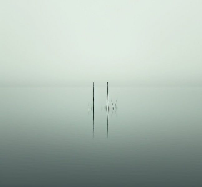 Beeldesthetiek van fernlichtsicht