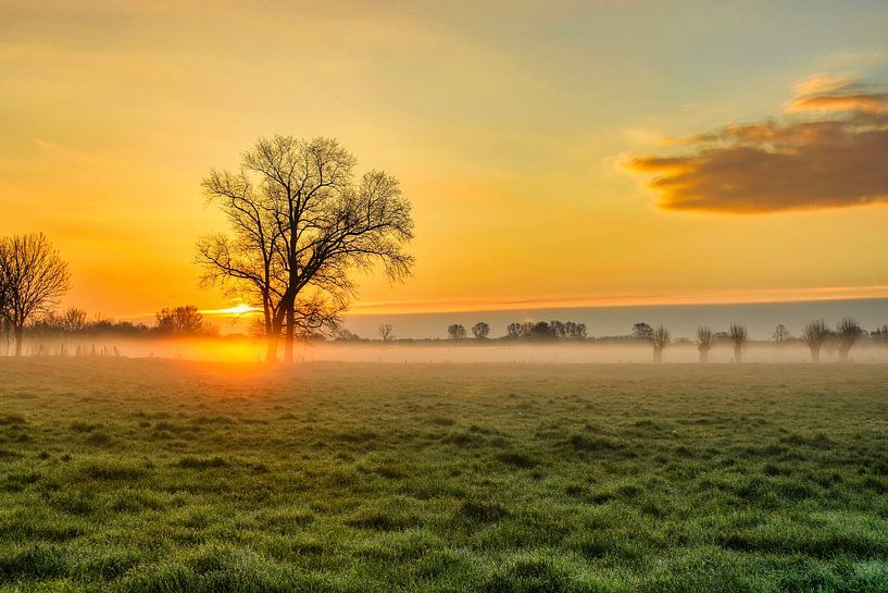 Zonsopgang van Rudi Everaert