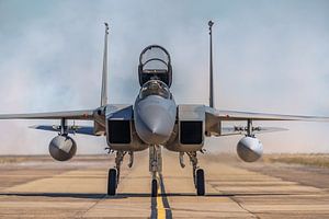 Bayou Militia McDonnell Douglas F-15C Eagle.
