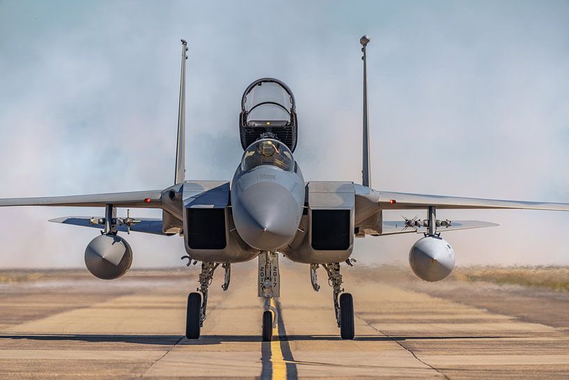 Bayou Militia McDonnell Douglas F-15C Eagle. by Jaap van den Berg