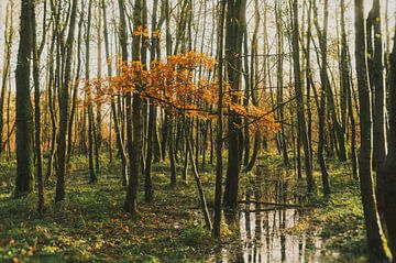 Herfst van Pieter Frans Flameling