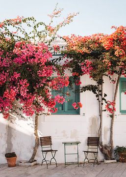 Greek Flowers | Mediterranean photo print | Colourful Wall Art by MelCaptures