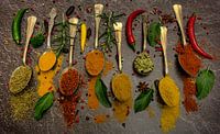 Spices on silver spoon with various herbs by Hans-Bernd Lichtblau thumbnail
