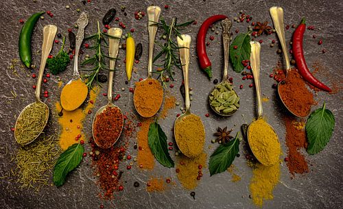 Gewürze auf Silberlöffel mit verschiedenen Kräutern