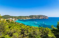 Uitzicht op Camp de Mar, prachtige baai kust van Mallorca van Alex Winter thumbnail