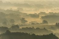 Champs de brume par Harald Harms Aperçu