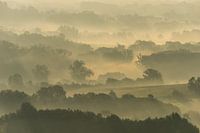 Misty fields
