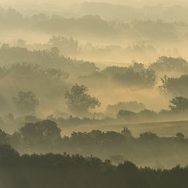 Misty fields by Harald Harms