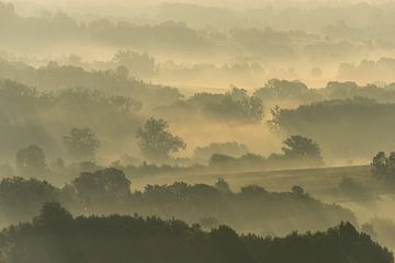 Misty fields van Harald Harms