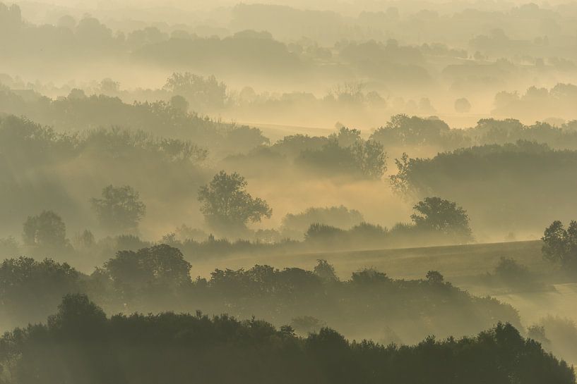 Misty fields van Harald Harms