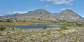 Norwegen, Norway by Michael Schreier