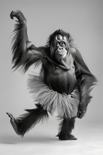Dansende orang-oetan in tutu