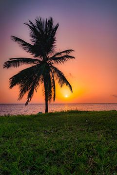 Sunrise in Punta Cana van Edgar Seedorf