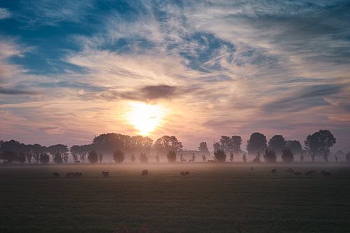 Beemsterweiland met zonsopkomst van Remco Schoonderwoert