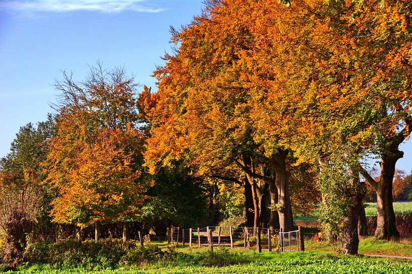 Limiet 14 van Edgar Schermaul