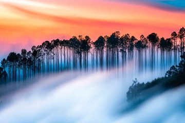Nebelschwaden und Sonnenuntergangsfarben von Poster Art Shop