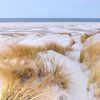 Winterlicht boven de Duinen van Texel van Ad Jekel