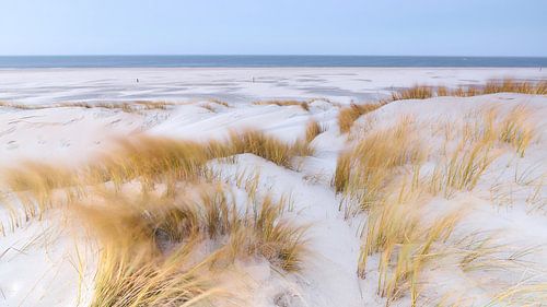 Winterlicht boven de Duinen van Texel