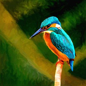 Kingfisher sur Andrea Meyer