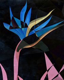 Strelitzia II by Kay Weber