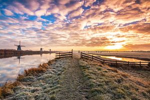 Sonnenaufgang in Kinderdijk von Ilya Korzelius