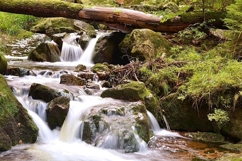 The river Ilse in the Harz National Park by Heiko Kueverling