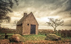 Dutch landscape sur Dennis Van Donzel