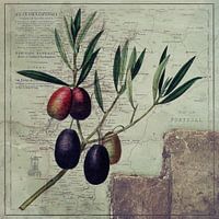 Olives