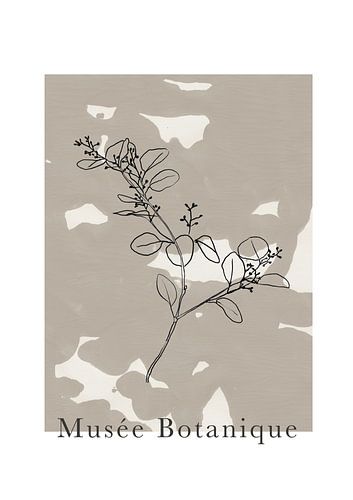 Abstract Botanics No 16