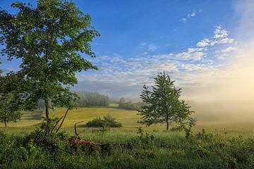 Landschap in het natuurreservaat Stiegelesfels bij Fridingen - Natuurpark Opper-Donau van BlattArt - Christine Horn