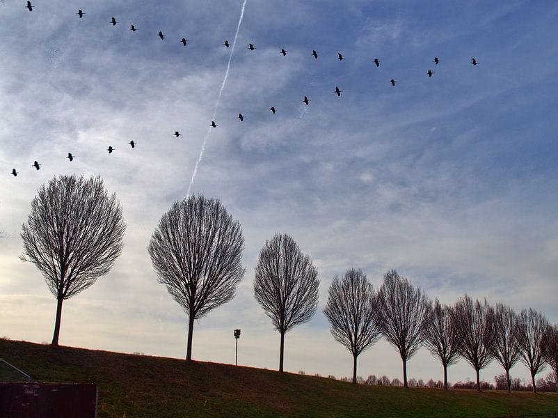 Terug van Edgar Schermaul