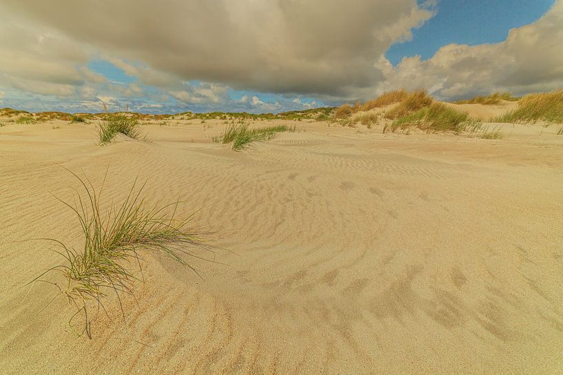 The Hors Texel by Andy Luberti