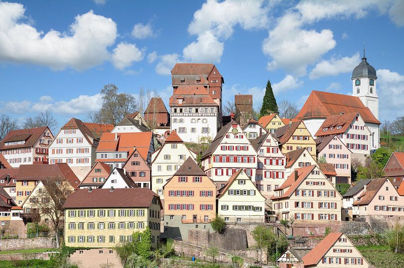 Altensteig im Schwarzwald von Peter Eckert