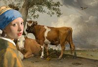 Meisje met de parel & de stier