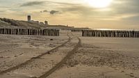 strand Vlissingen
