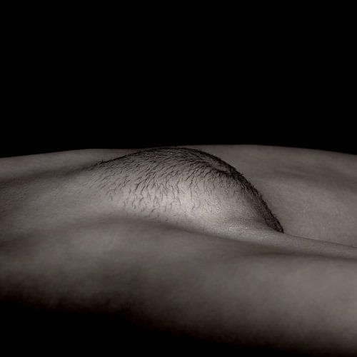 Artistiek Naakt van een Vagina in Low Key Kleur