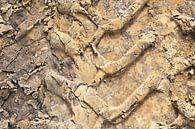 Imprint in sand by Ans Houben thumbnail