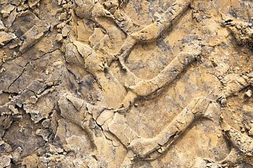 Patroon van afdruk in zand van Ans Houben