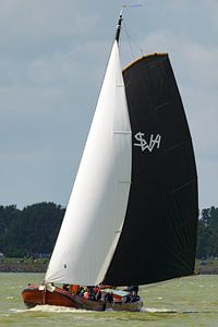 Skûtsje zeilboot op het IJsselmeer van Sjoerd van der Wal Fotografie