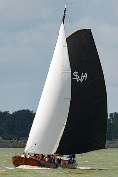 Skûtsje zeilboot op het IJsselmeer