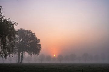 nebliger Sonnenaufgang von Tania Perneel