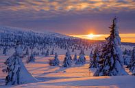 Winterlicher Sonnenuntergang in Norwegen von Adelheid Smitt Miniaturansicht