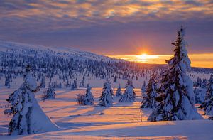 Winterlicher Sonnenuntergang in Norwegen