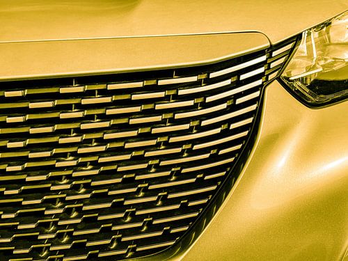 Grille van een Peugeot E 2008