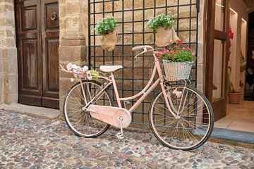 roze geschilderde damesfiets met bloemen in straat met oude deuren en stenen op het eiland Sardinië van ChrisWillemsen