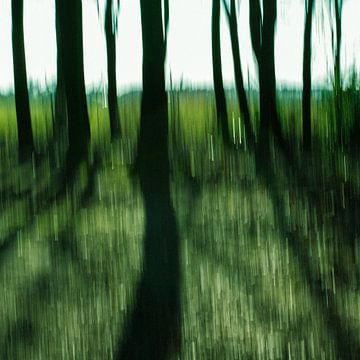 À travers les arbres de la forêt sur Liesbeth de Leeuw