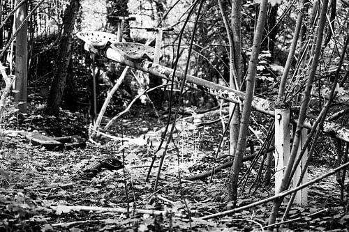 Overgrown seesaw (black and white)