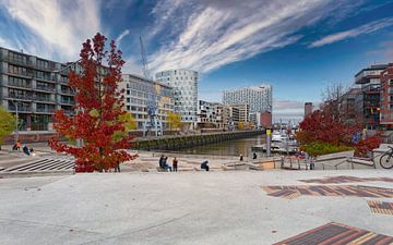 Terrasses Magellan - Hambourg HafenCity sur Das-Hamburg-Foto