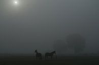 Paarden in mistig weiland met doorbrekende zon van Karin in't Hout thumbnail